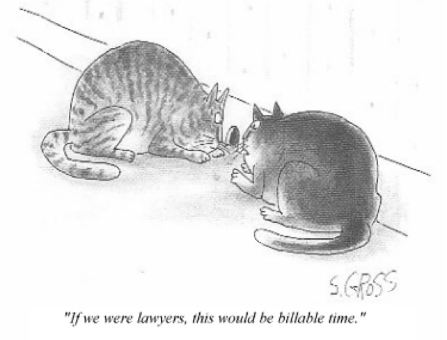 The Funny Thing About Lawyers 