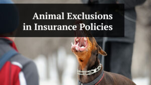 animal exclusions in insurance policies