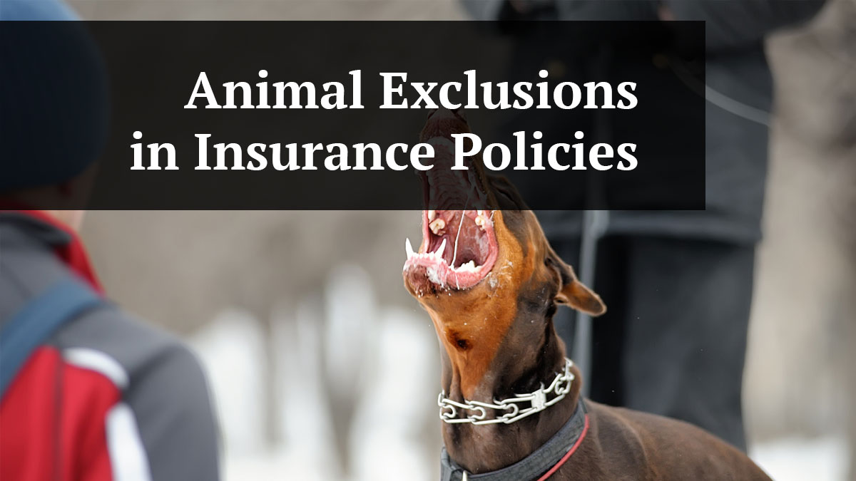 animal exclusions in insurance policies
