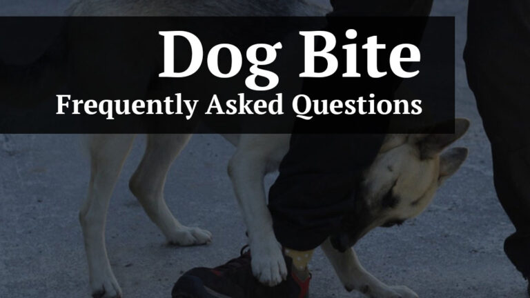 dog bite frequently asked questions