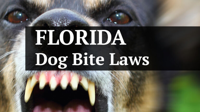 florida dog bite laws