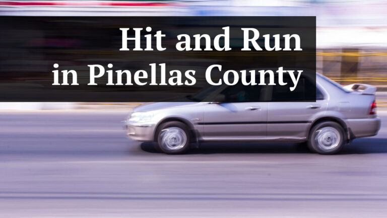 hit and run in pinellas county