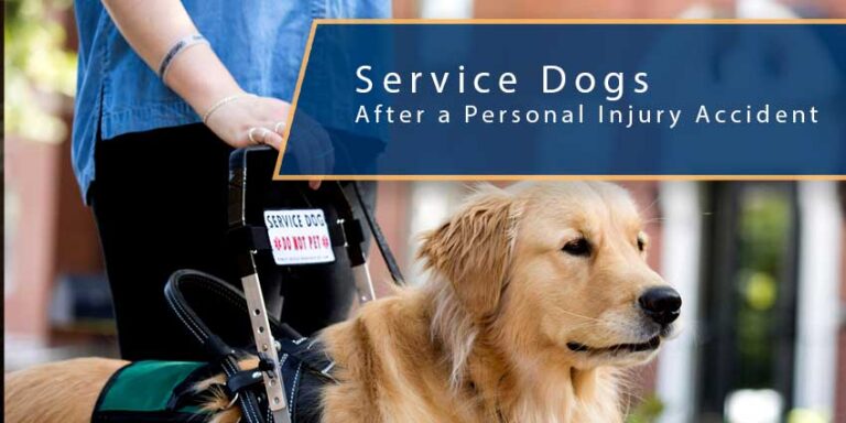 Service Dogs After a Personal Injury Accident