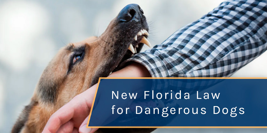 New 2025 Florida Law Requires $100K Insurance for Dangerous Dogs